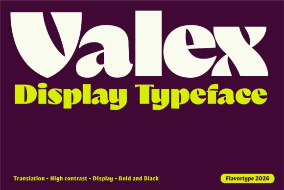 Valex: A Designer's Honest Review for Real-World Branding