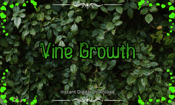 Vine Growth: A Display Typeface That Brings Life to Web Layouts